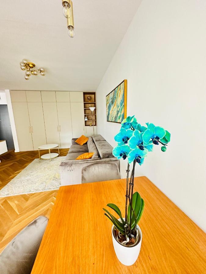 Bel Dom - The Central, Spacious 2 Rooms Luxury Apartment Cluj-Napoca Exterior photo